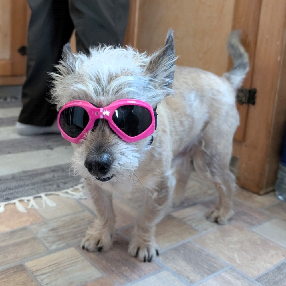 Closet Clear Out Discounted Shipping!!